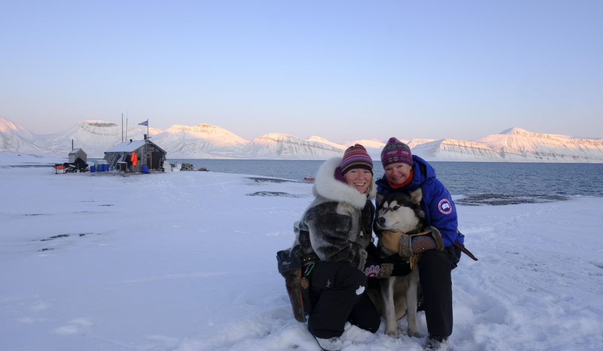 Snowy mountains, Arctic explorers, husky dog