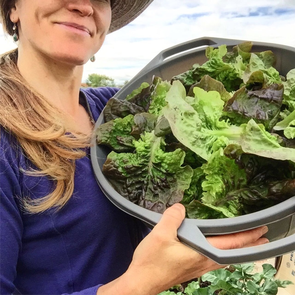 A woman with a colander of homegrown salad leaves
