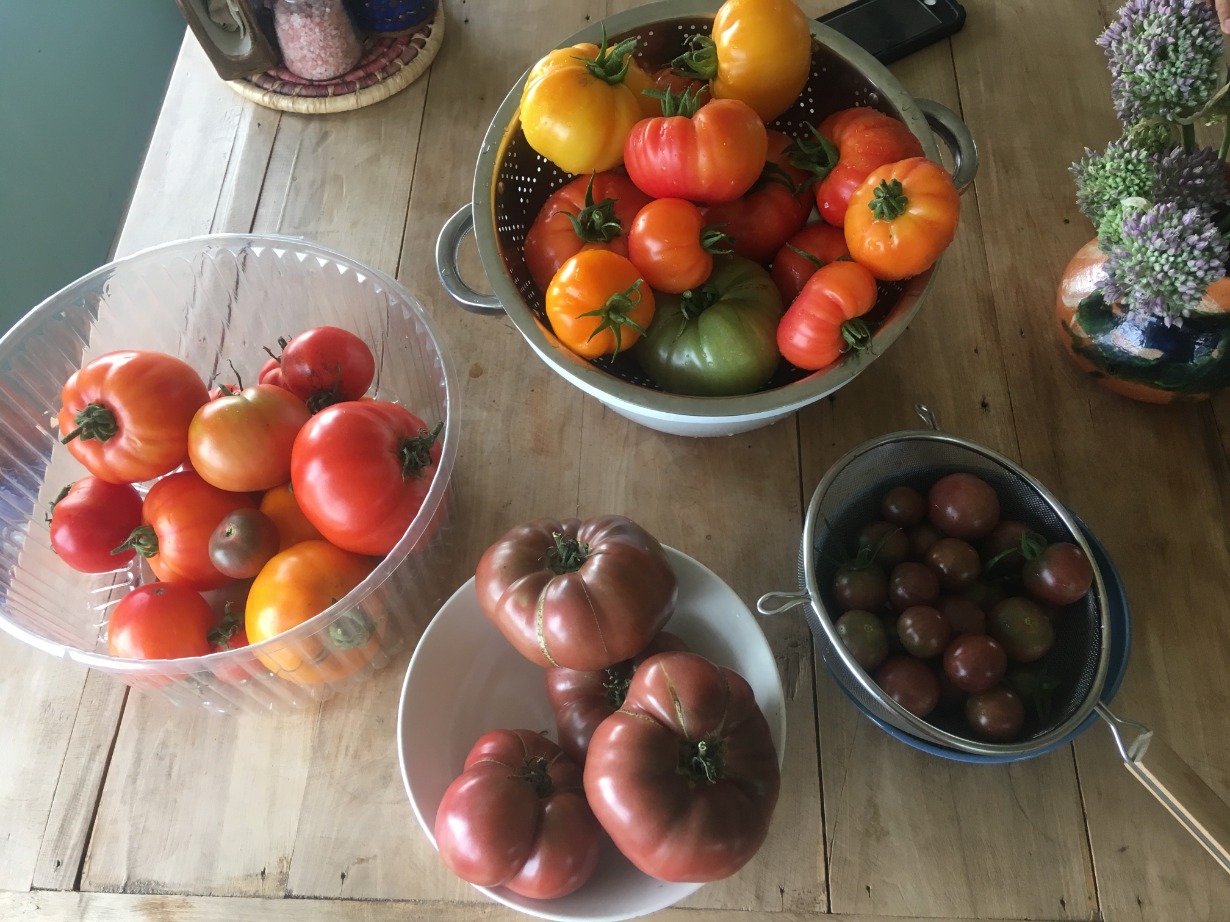 A wooden table covered in bowls of homegrown tomatoes